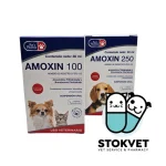 Suspensión oral AMOXIN 30ml