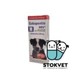 Gabapentin 100mg