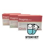 Pragma