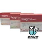 Pragma - Imagen 2