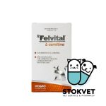 Felvital L-Carnitina