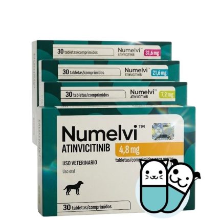 Numelvi
