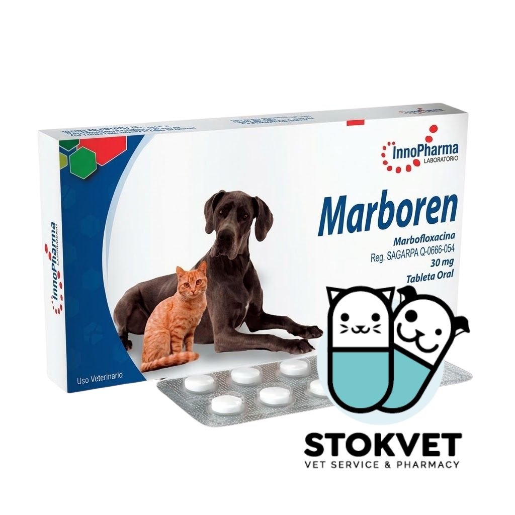 2026/09/1000716387.jpg Marboren - Imagen 1